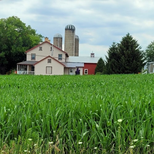 Private Countryside Back Roads Tour - Mon, Wed, Fri (2-23 People)